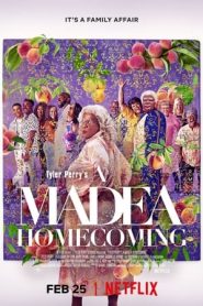 Madea: Il ritorno